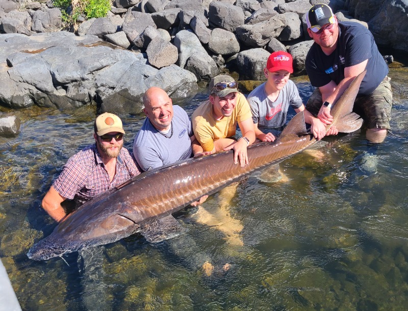 sturgeon photo in hells canyon