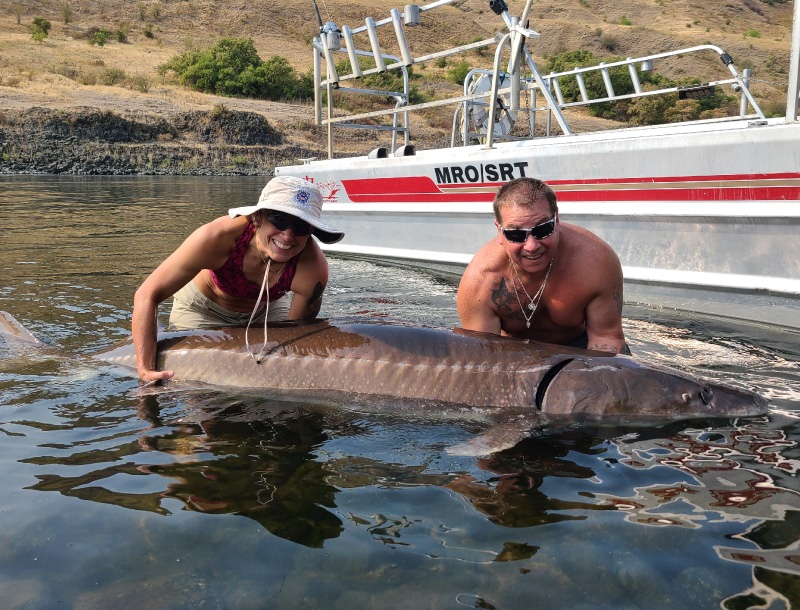 sturgeon in hells canyon s & s River Outfitters