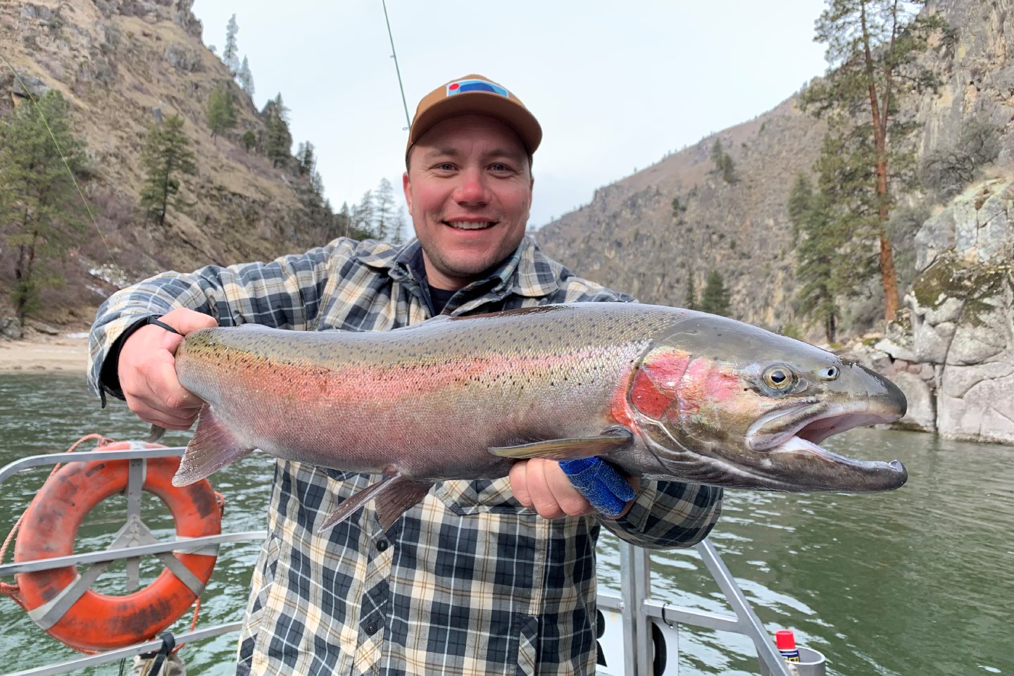 Idaho Steelhead