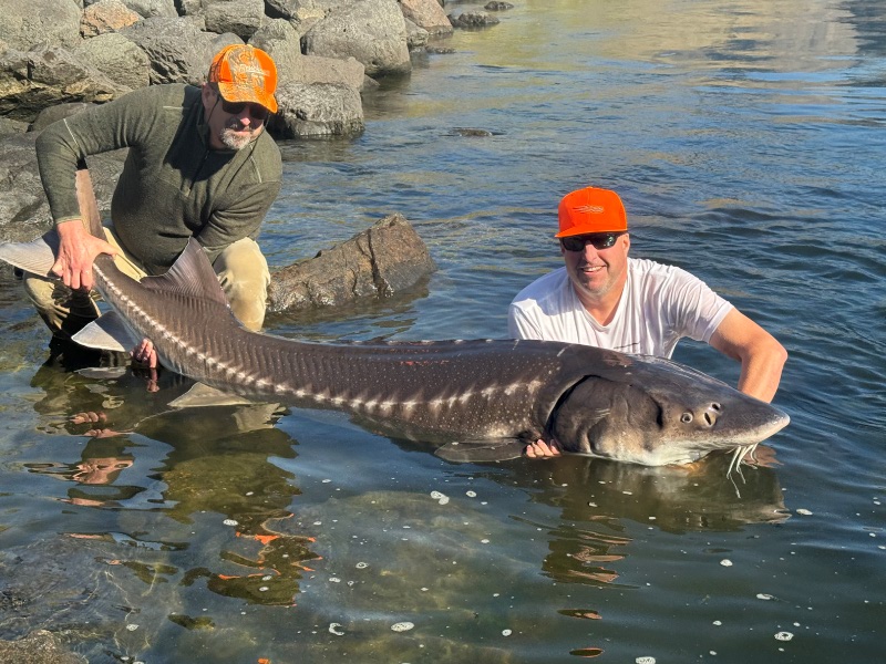 hells-canyon-sturgeon-guides